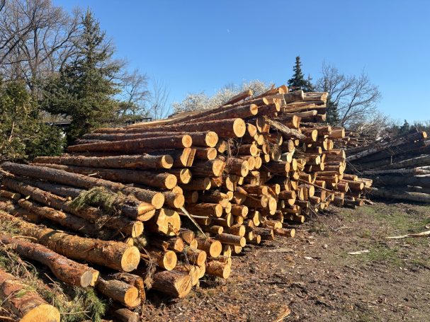 Holzaufbereitung